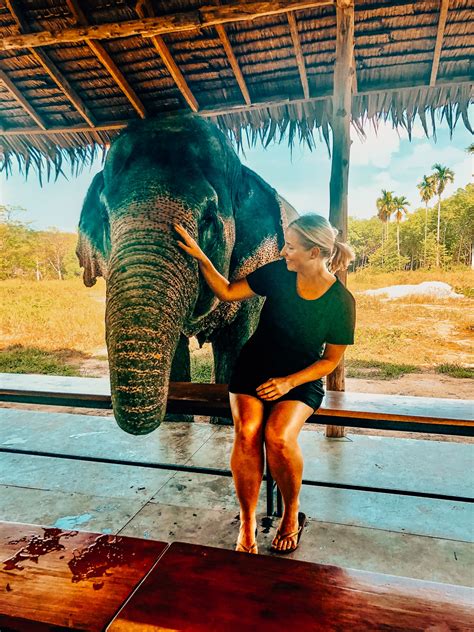 Visit This Truly Ethical Elephant Sanctuary In Phuket Thailand