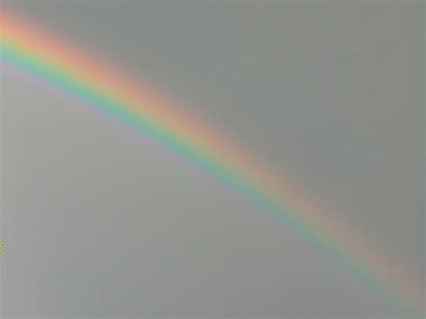 Gay Pride Lgbt Free Photo On Pixabay Pixabay