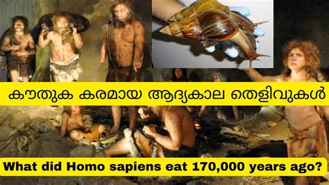 What did Homo sapiens eat 170000 years ago കതക കരമയ ആദയകല തളവക