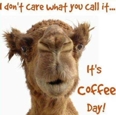 60 Wednesday Coffee Memes, Images & Pics to Get Through the Week