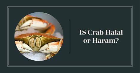 Is Crab Halal Or Haram Complete Guide From Quran And Hadith Ex Study