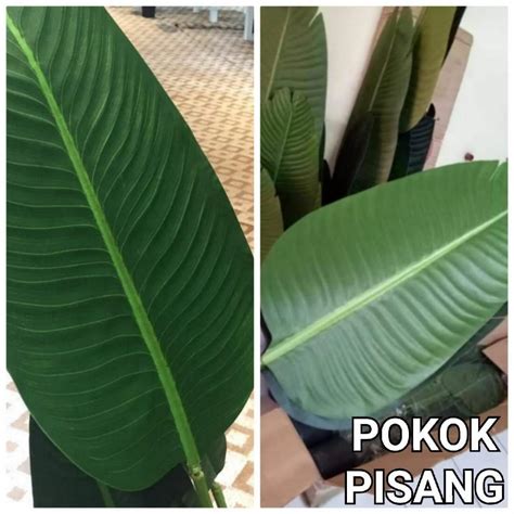 Artificial Plant pokok pisang Home Furniture Home Décor on Carousell