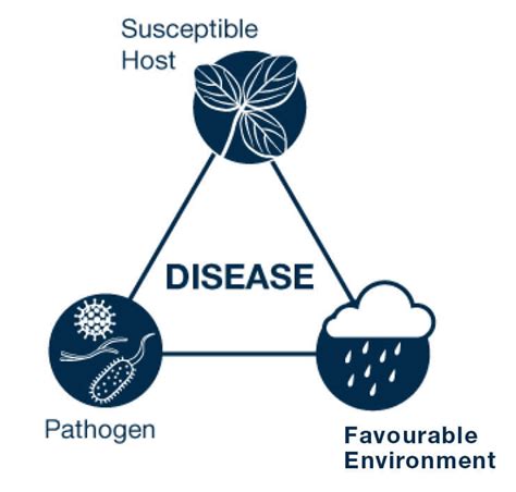 Fungicide Modes Of Action