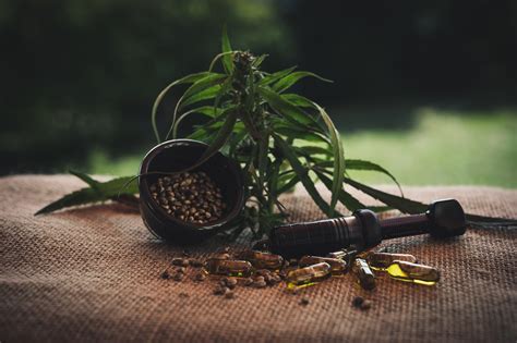 Ползи от CBD масло от канабис по време на химиотерапия и рак - Карай ...