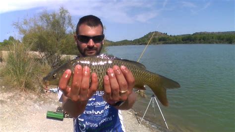 Pesca De Cipr Nidos Con Cebador Youtube