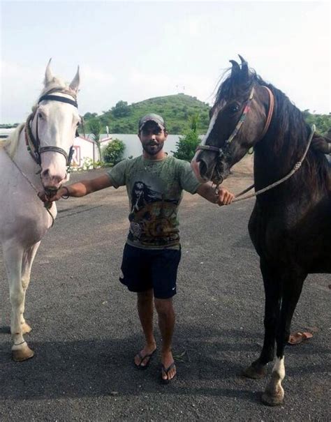 PHOTOS: Sir Jadeja hooked on horses! - Rediff Cricket