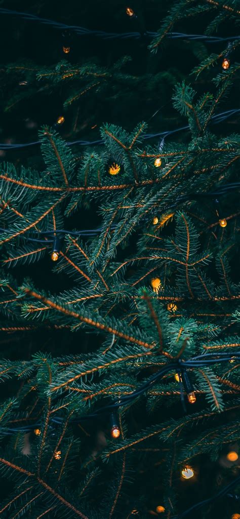 Christmas Lights Trees Wallpapers - Wallpaper Cave