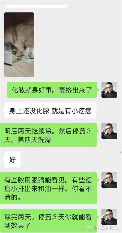 柴犬严重皮肤病 历时三个月治疗康复过程 知乎