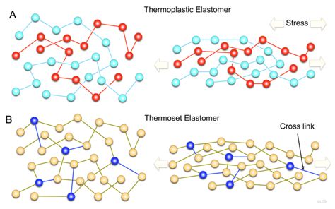 Difference Between Elastomer and Polymer | Elastomer vs Polymer