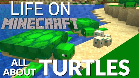 All About The Turtle In Minecraft Turtle Eggs How Turtle Eggs Hatch