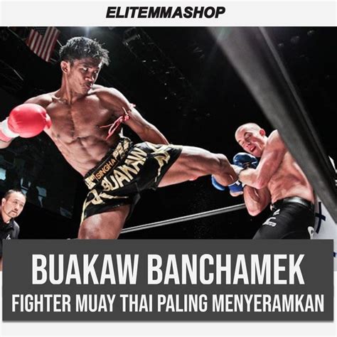 Buakaw Banchamek Fighter Muay Thai Yang Paling Terkenal Didunia Ems