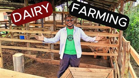 How To Start A Dairy Farm Business Cattle Farming For Beginners