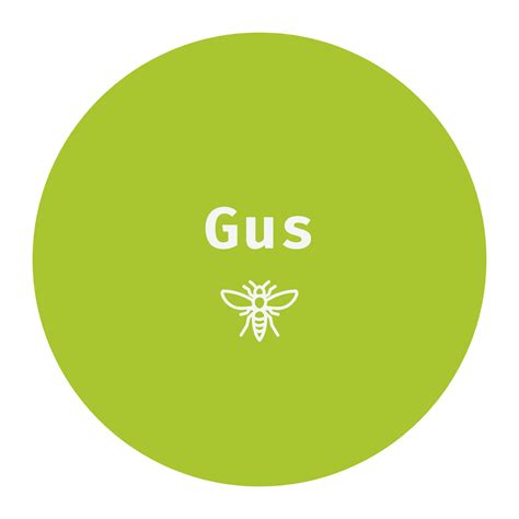 Gus Medium