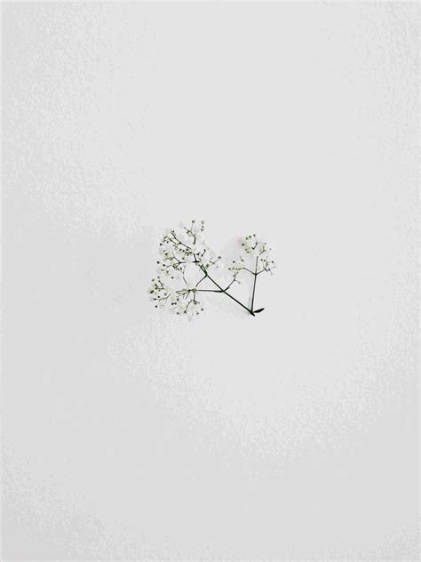 aesthetic wallpaper full hd free download 5