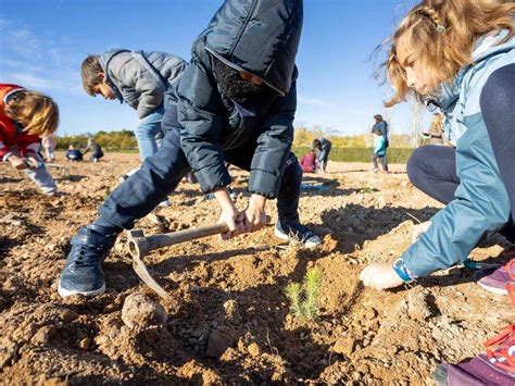 Comienza la plantación de 600 árboles y arbustos en Valdespartera