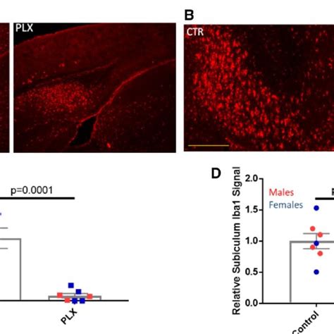 Plx Treatment Led To A Reduction Of Plaque Associated Microglia In