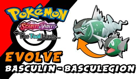 Pokemon Scarlet Violet The Teal Mask Dlc How To Evolve Basculin