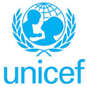 UNICEF ONU y Davos son las organizaciones internacionales más seguidas