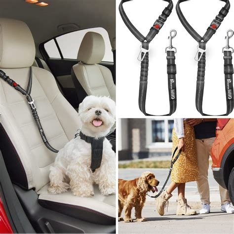 Trap In Your Furry Co-Pilot: The 5 Must-Have Dog Seat Belts!