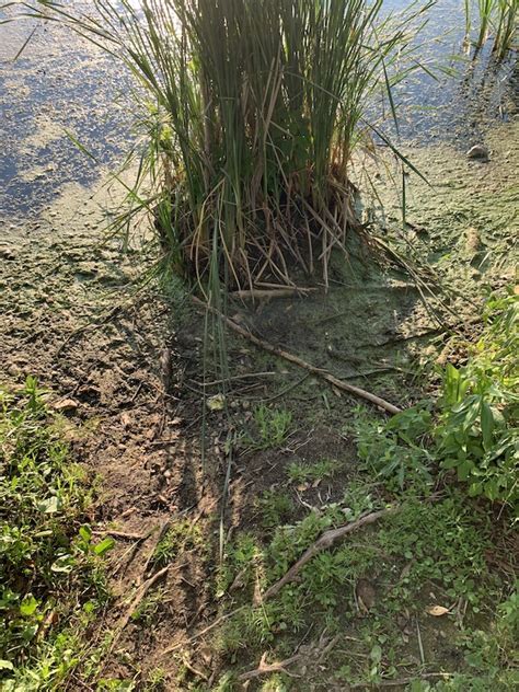 PM Water Cooler Naked Capitalism