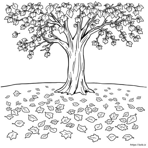 Simple Fall Leaves Coloring Pages