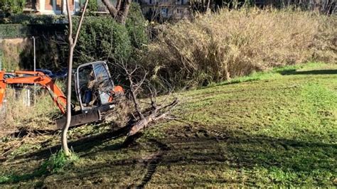 Riserva Naturale Di Monte Mario Bonifica Per Il Parco In Zona Farnesina