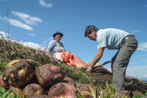 Peru Reaffirms Commitment To Food Security At Apec Forum News