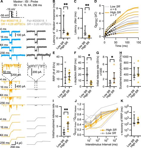 Bridging The Gap Between Presynaptic Hair Cell Function And Neural Sound Encoding Elife