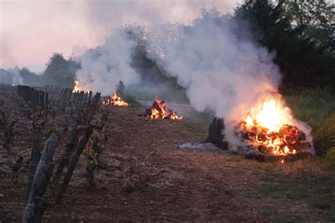 Côte d Or Viticulture Savigny lès Beaune 24 tonnes de paille