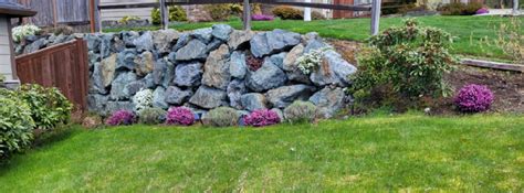 Best Plants for a Rock Garden – Seeded Garden