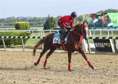entries for belmont park today 5