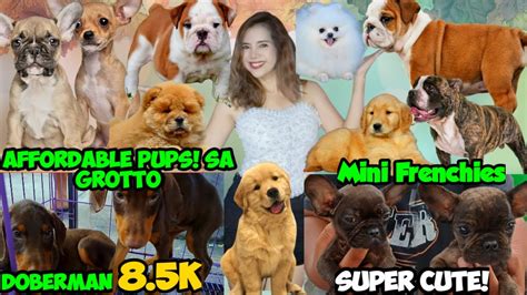 Grotto Pet Update Mura Na Natatawadan Pa Pasyal Ka Sa Grotto Sila