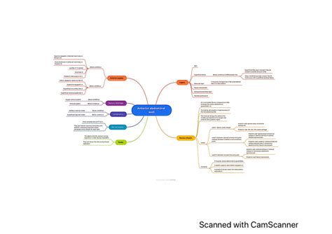 Solution Mind Maps Of Anatomy Of Reproductive System Studypool