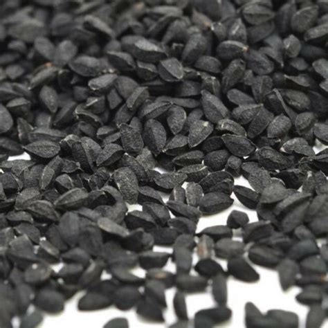 Biji Habbatus Sauda Jintan Hitam Organik Nigella Sativa Kalonji