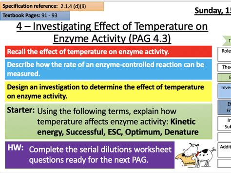 Pag Rates Of Enzyme Controlled Reactions Temp Teaching Resources