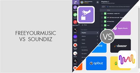 FreeYourMusic vs Soundiiz: Which Is NOT the Safest Tool?