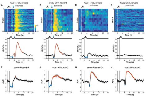 Figures And Data In Learning Shapes The Aversion And Reward Responses