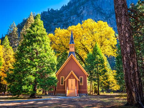 Yosemite Chapel Autumn Colors Fall Yellow Leaves Oak Tree Yosemite