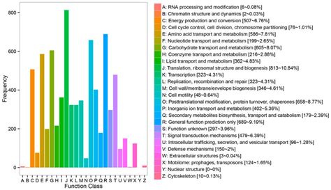 Cog Clusters Of Orthologous Groups Of Proteins Classification The