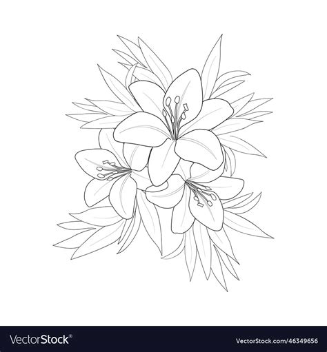 Lily Flower Tattoo Drawing Infoupdate Org