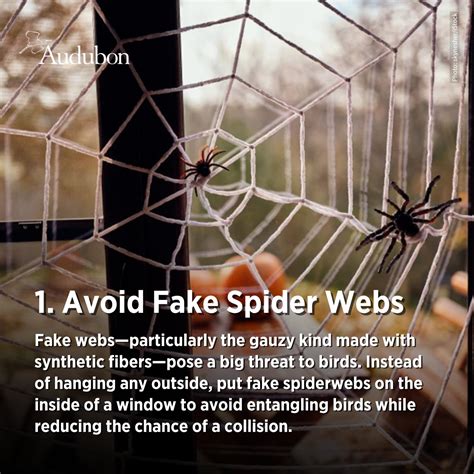 National Audubon Society added... - National Audubon Society