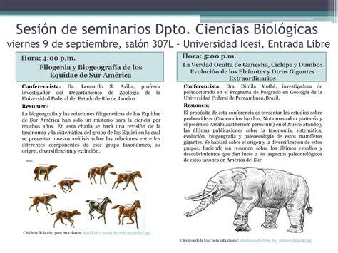 Sesión De Seminarios Sobre Fósiles Dpto De Ciencias Biológicas Facultad De Ciencias