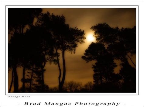 Shunga Moon Nature And Landscape Photography Brad Mangas