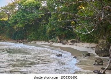 38 Boston Bay Beach Jamaica Royalty-Free Images, Stock Photos ...