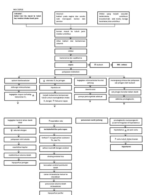 Woc Sepsis Pdf