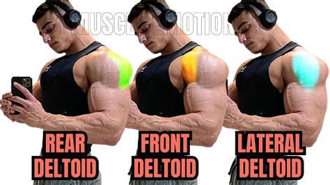 Best Shoulders Workout With Dumbells Barbell Machine And Cable At