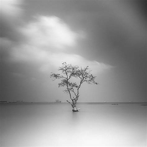 Minim la série photo en noir et blanc de Hengki Koentjoro Graine de