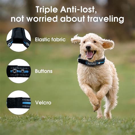 AirTag Collar De Perro IP68 Funda Impermeable AirTag Para Perro