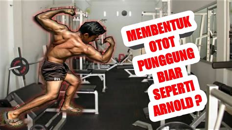 Latihan Back Di Gym Baik Untuk Pemula Youtube