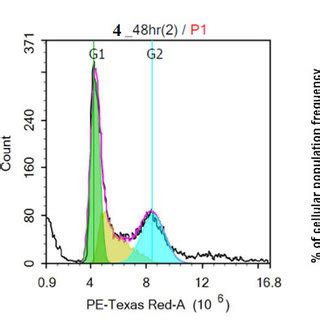 Cytogram reflecting the cell cycle distribution of MCF-7 cells (A):... | Download Scientific Diagram